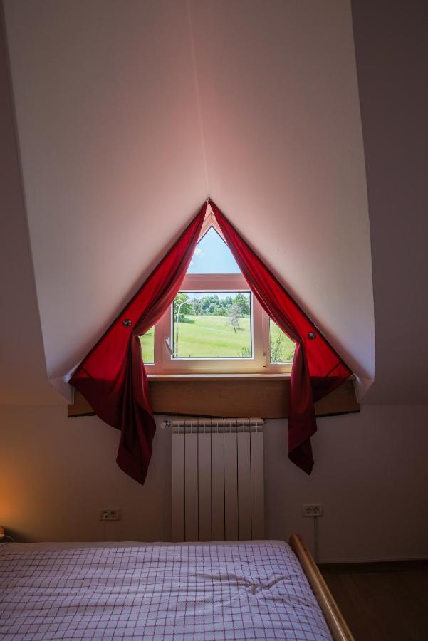 Вилла Domacija Malnarjevi Villa Slavina Экстерьер фото
